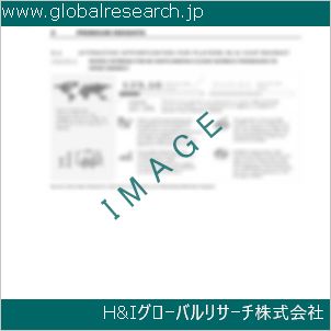 グローバルリサーチ調査資料のイメージ
